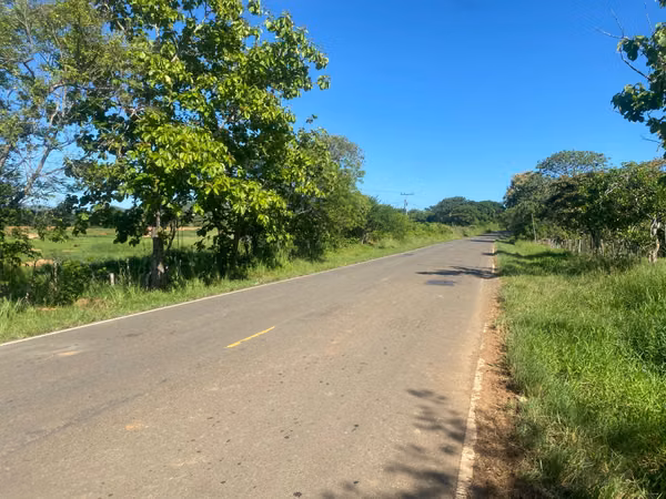 Finca en Venta – 1,119 Hectáreas Cerca de Soná, Veraguas, Panamá