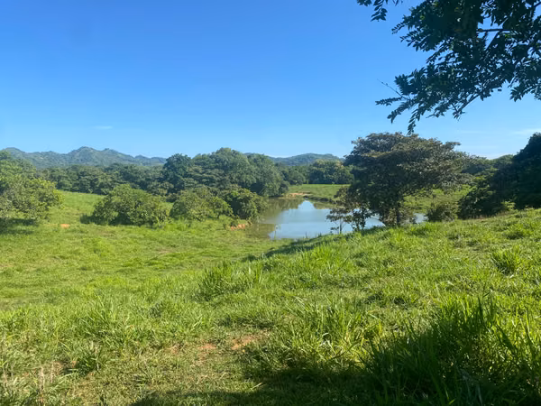 Finca en Venta – 1,119 Hectáreas Cerca de Soná, Veraguas, Panamá