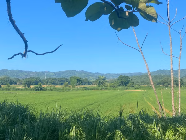 Finca en Venta – 1,119 Hectáreas Cerca de Soná, Veraguas, Panamá