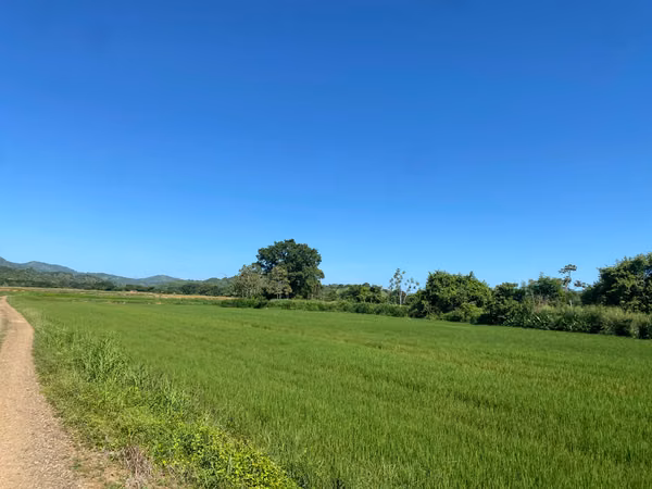 Finca en Venta – 1,119 Hectáreas Cerca de Soná, Veraguas, Panamá