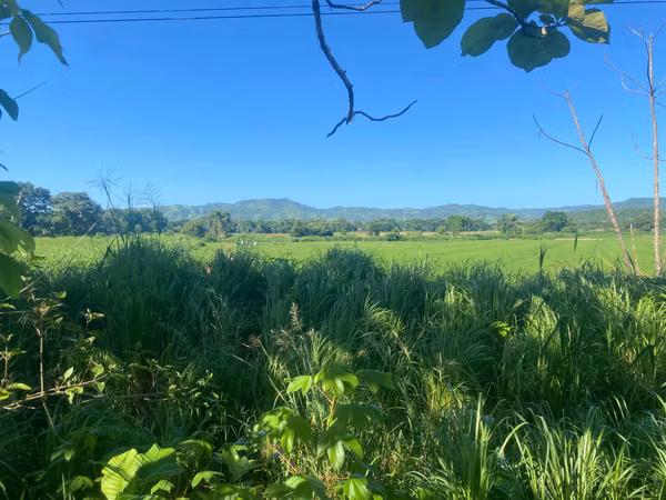 Finca en Venta – 1,119 Hectáreas Cerca de Soná, Veraguas, Panamá