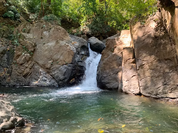 Finca en Venta – 282 Hectáreas Colindantes con el Parque Nacional Cerro Hoya, Veraguas, Panamá