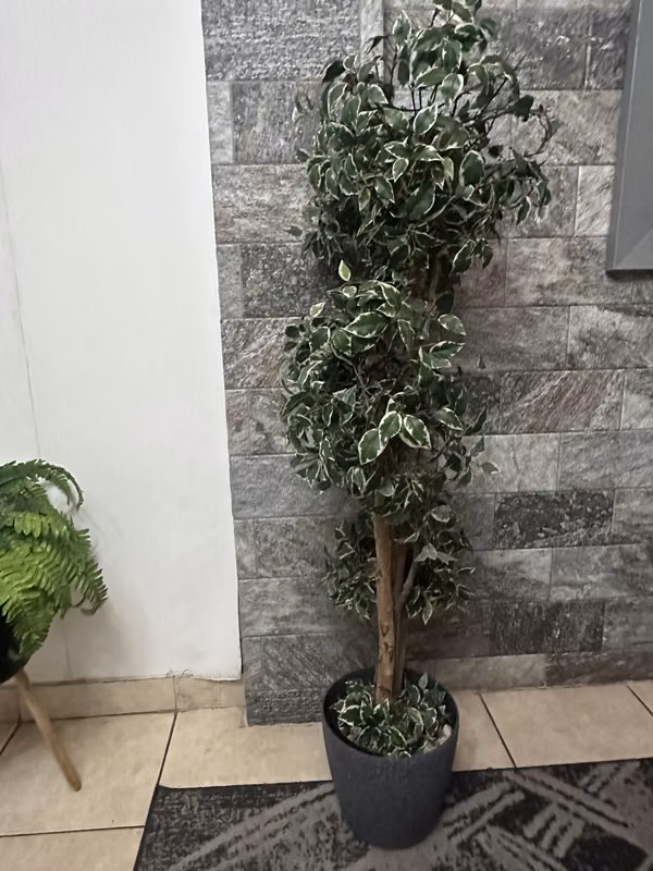 Mesas y Decoraciones para Hogar