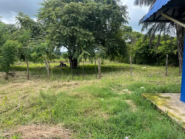 COMMERCIAL LAND | SANTIAGO DE VERAGUAS
