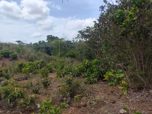 **Ganga** Finca en Toza Nata