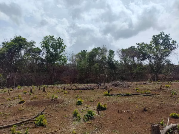 **Ganga** Finca en Toza Nata