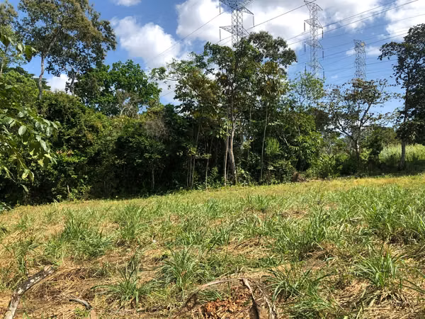 *DEAL* LAND IN VILLA LOBOS | 7,357 SQM | MAIN ROAD FRONTAGE MV006
