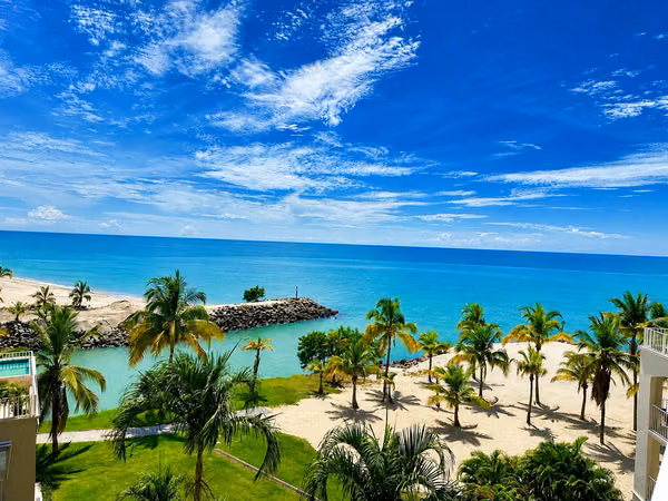Sale of Apartment with Sea View and Surrounded Nature # 25-3441