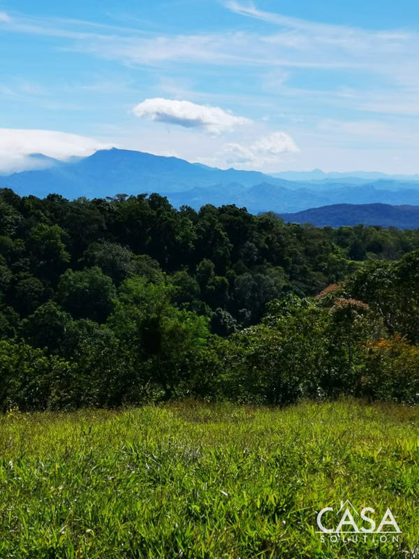 Coffee Farm for Sale in Potrerillos Arriba, Chiriquí, Panama – 18.69 Ha