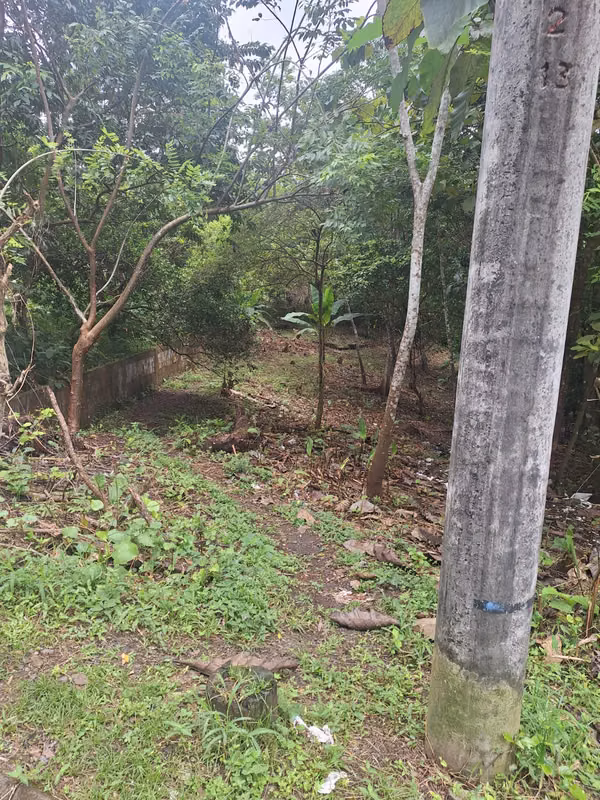 Excellent land of 9,450 m ² for sale in Las Sumbres - 124; Ideal for Investor