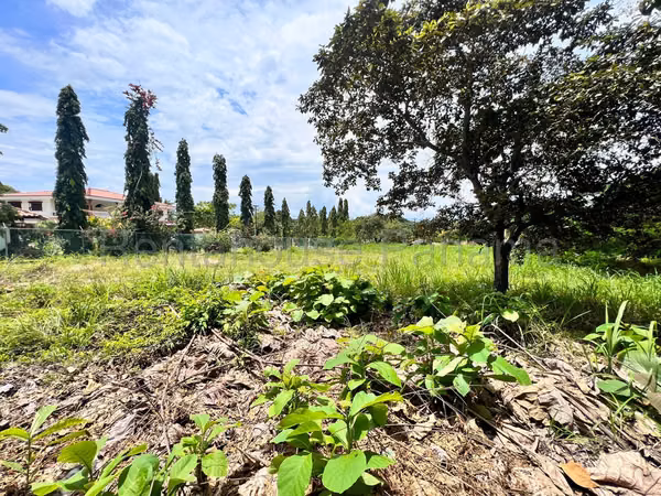 LAND FOR SALE IN GORGONA ABS