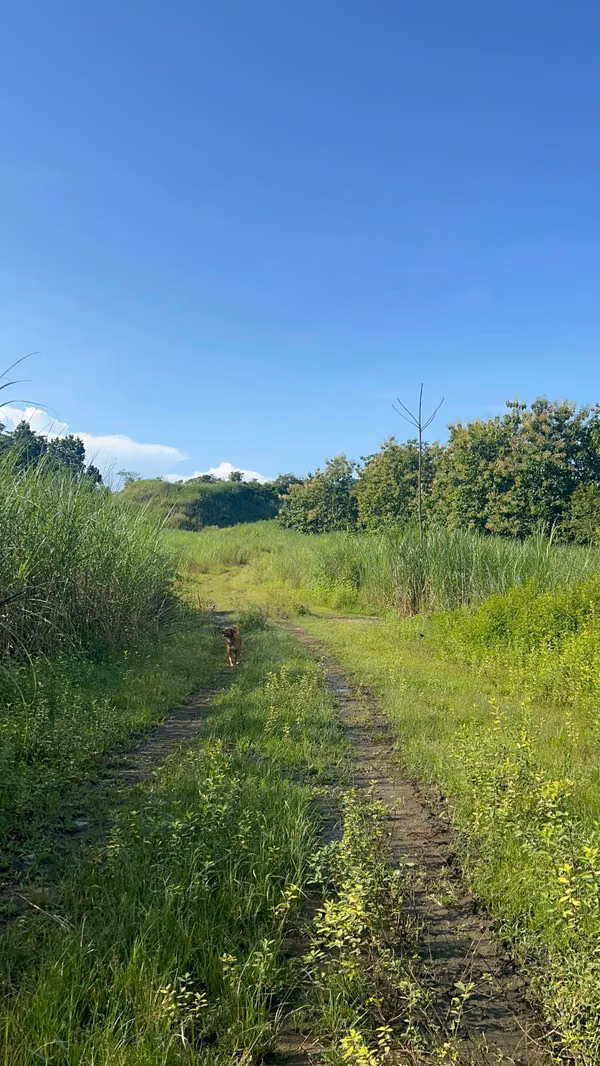 Venta de Terreno en Pacora Utive