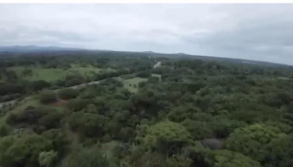 OPORTUNIDAD – FINCAS GANADERAS TITULADAS EN CHIRIQUÍ