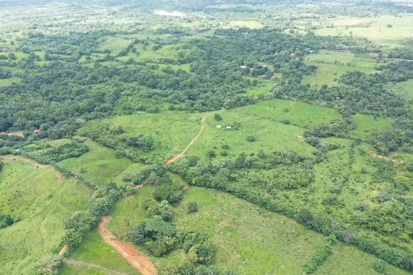 Land for Sale in Unión de Azuero, Tanara, Chepo
