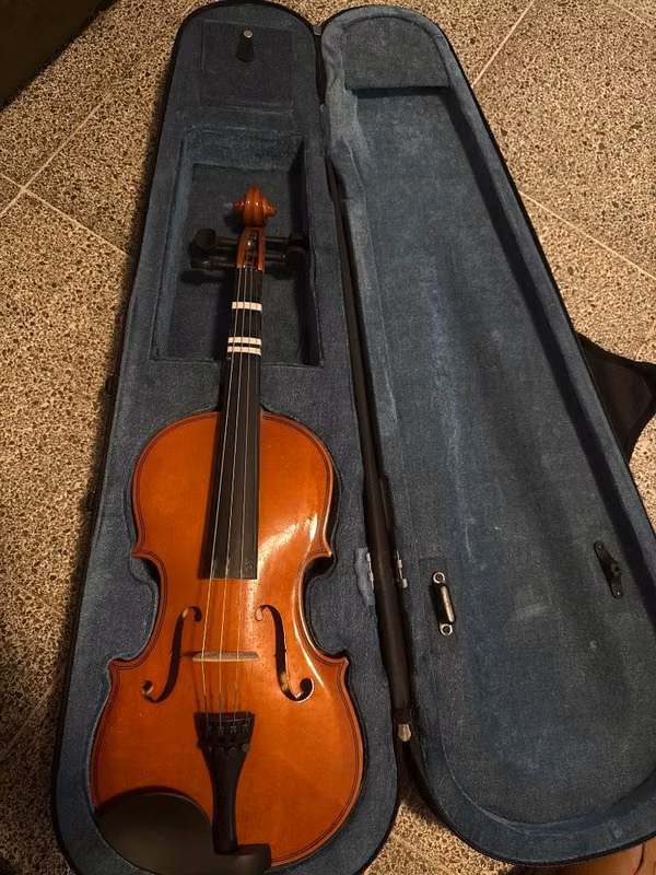 Violin 3 / 4