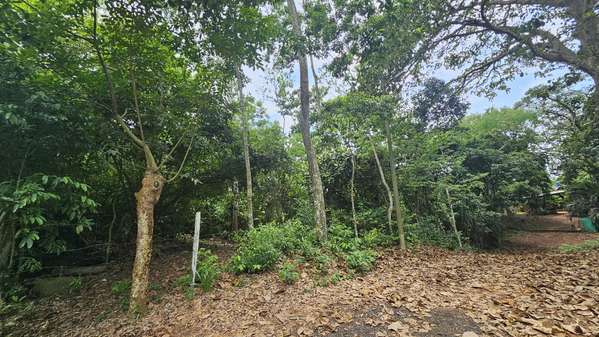 Se vendee 2.4 Hectáreas en Las Mendozas, La Chorrera 