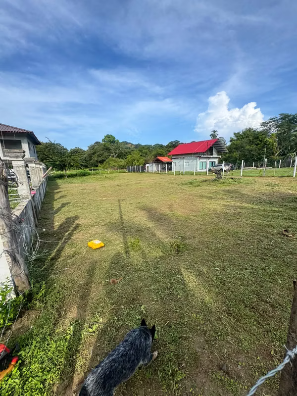 SALE OF LAND PROVINCE OF VERAGUAS PIXVAE DISTRICT OF THE PALMS