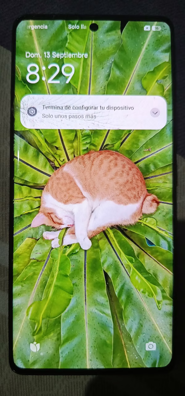 Redmi note 14 Pro. I bought another one