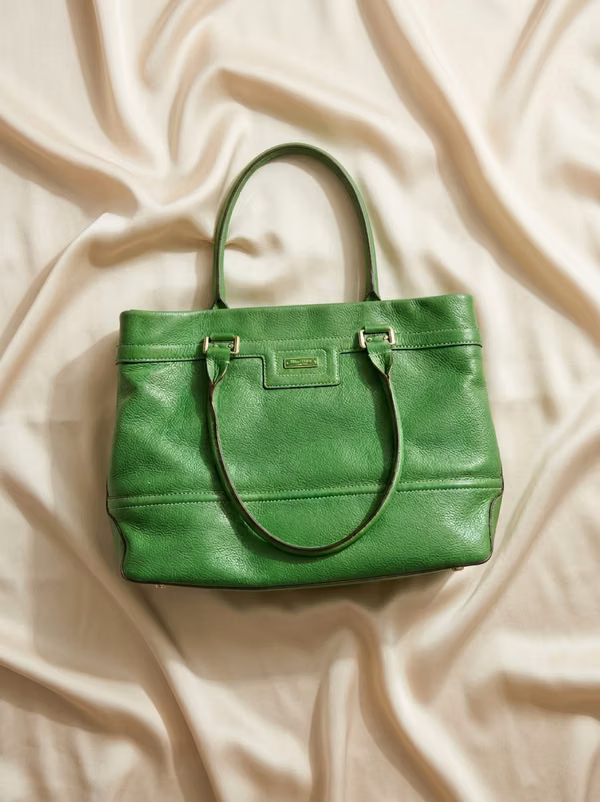 Portfolio / Bolso Anne Klein