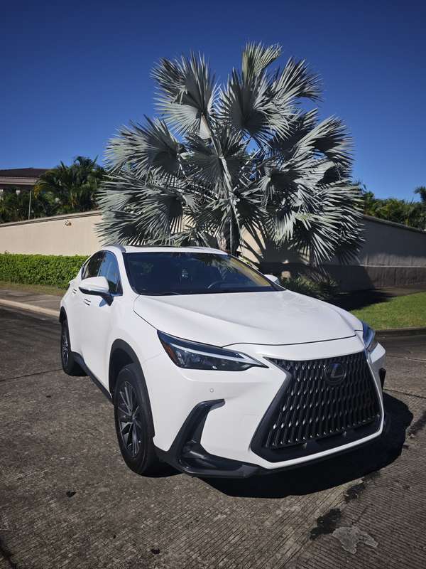 Lexus Nx 250 full extras 2022 how new