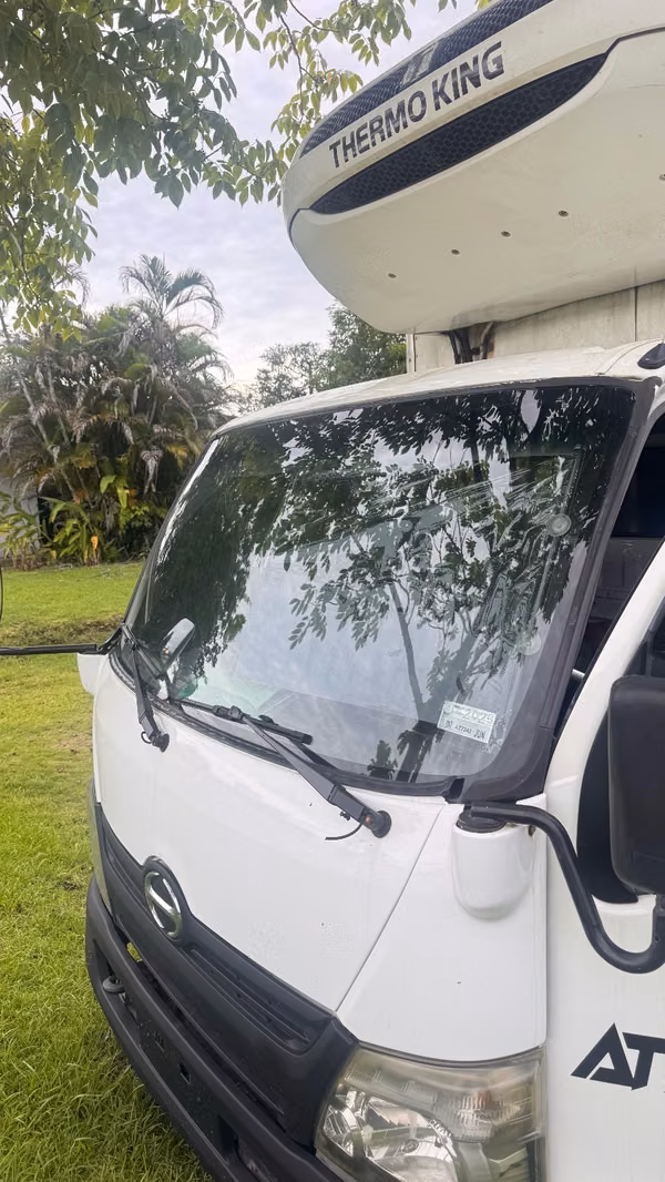 Venta de camiones Himo 300 con vagón congelado y termo king