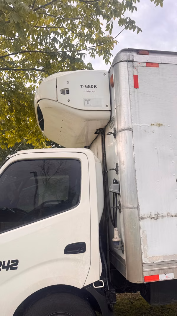 Venta de camiones Himo 300 con vagón congelado y termo king 