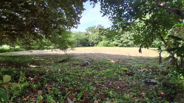 Land of 2,000 m ² for Sale in Gorgona - 500 m from the Sea