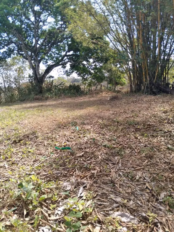 MTRE-510 Se VendE REMATE Finca 6 HECTÁREAS