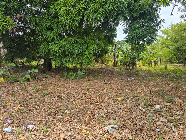 VENTA DE TERRENO EN AGUADULCE