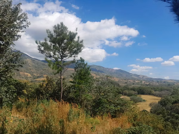 AMPLIO TERRENO DE 5 HECTAREAS DE VENTA EN CHAME