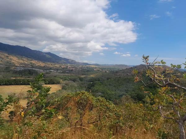 AMPLIO TERRENO DE 5 HECTAREAS DE VENTA EN CHAME