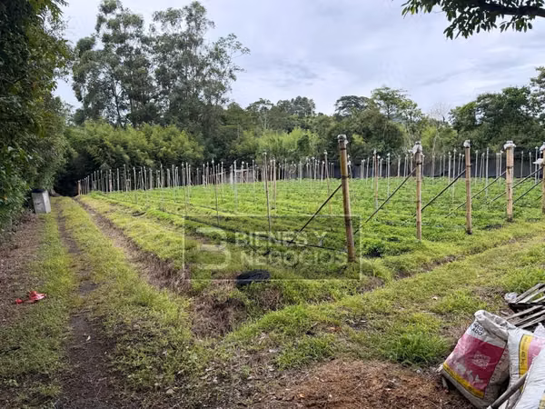 Terreno en Chiriquí, Tierras Altas , 1,888.30. M2 en Volcan