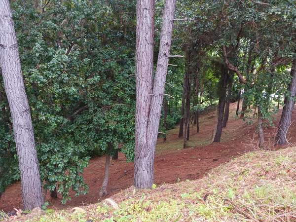 Beautiful Lot for sale - Granada Residencial, Altos del Maria