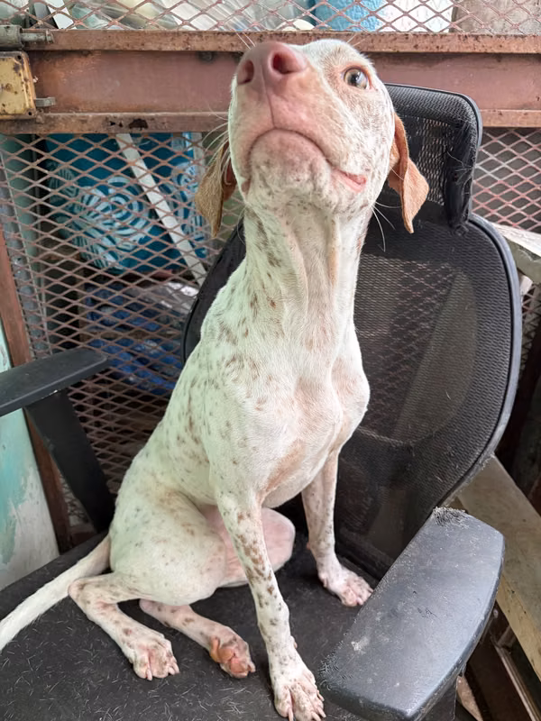 Find a home