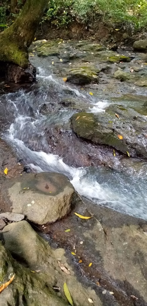 3+ HA Terreno en Lidice con Agua, Frutas, Bambu, Calle de Asfalto