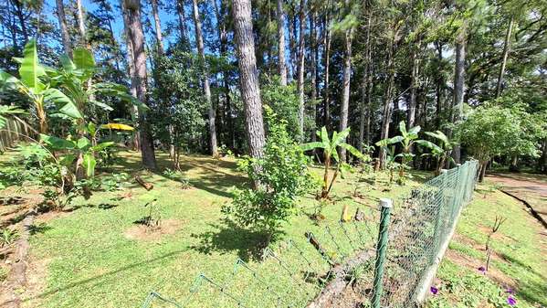 ALTOS DE CERRO AZUL TERRENO EN VENTA