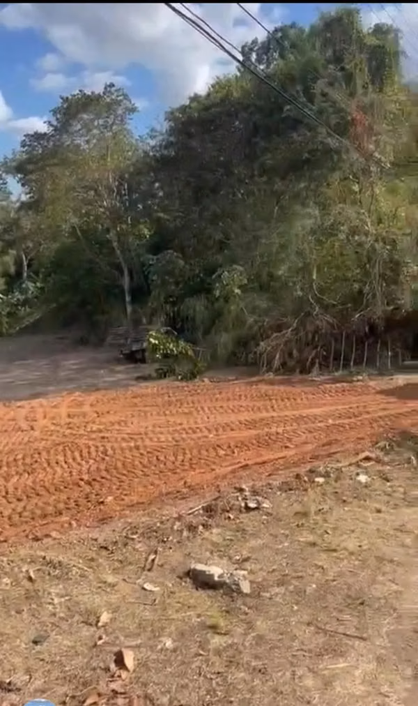 The land of 2.4 hectares is sold in Pedregal