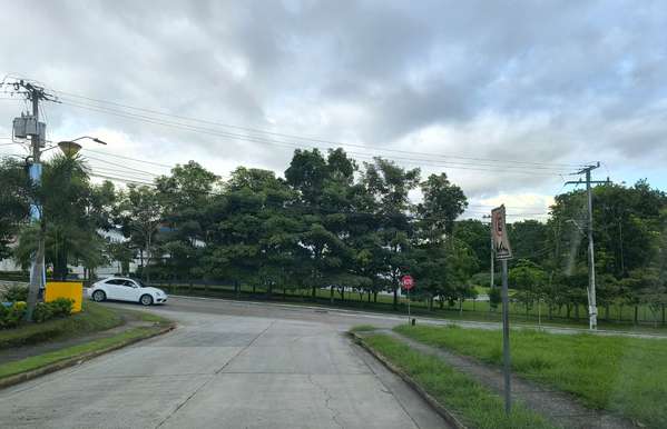 MTRE RPP / Se Sell on the ground in this albrook c1 ancon