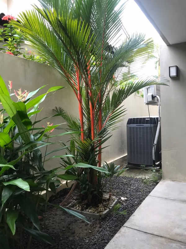 Large Unifamikiar house with 360 mts Jardin