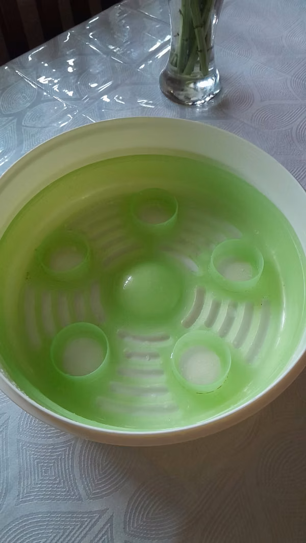 Sterilizer REMATE 5 PIGION Microwave Breast