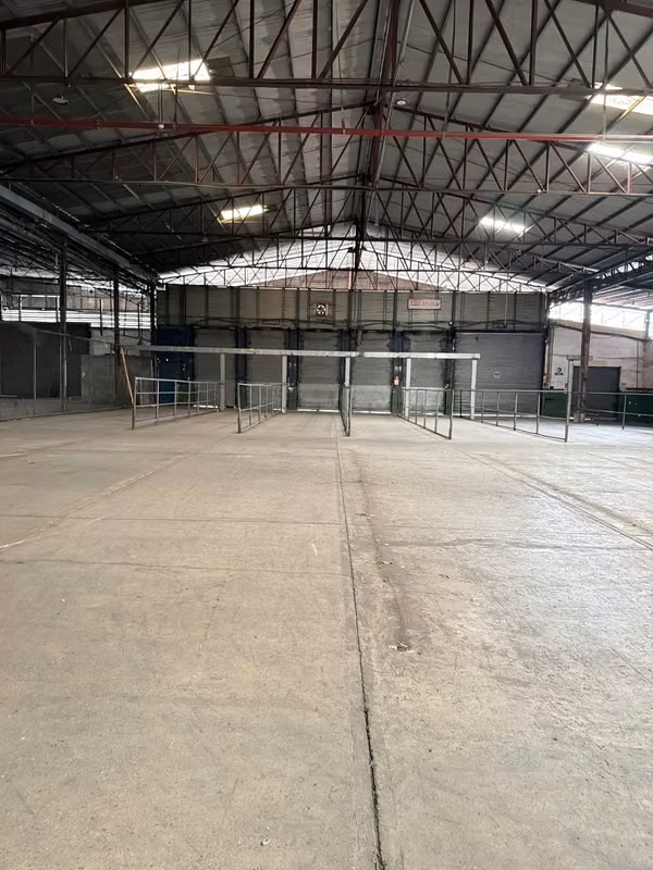 Alquilo Galera 8000 m2 en Milla 8 San Miguelito