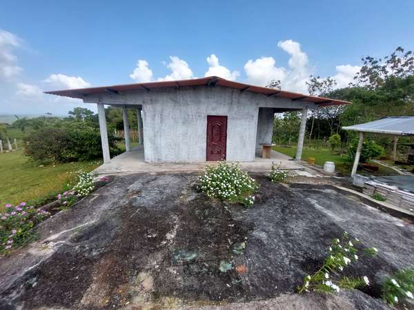 Remate 100 ha in arosemena