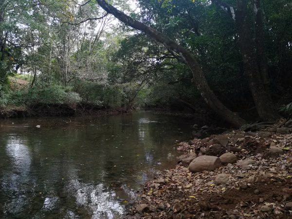 Se vende excelente finca ganadera 470 hectáreas más 450 animales a 9,500.00 por hectárea , san Lorenzo Chiriquí