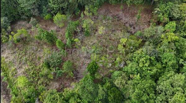 Land Sale in Girl 26ppm8890