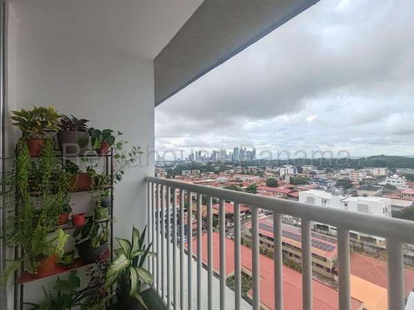 For Sale Comodo Apartment Sector Park Lefevre 26ppm2586