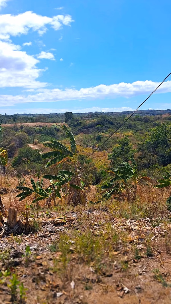 VENTA DE TERRENO, SAN CARLOS/CHR