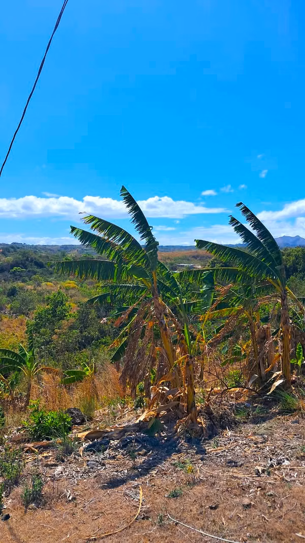 VENTA DE TERRENO, SAN CARLOS/CHR