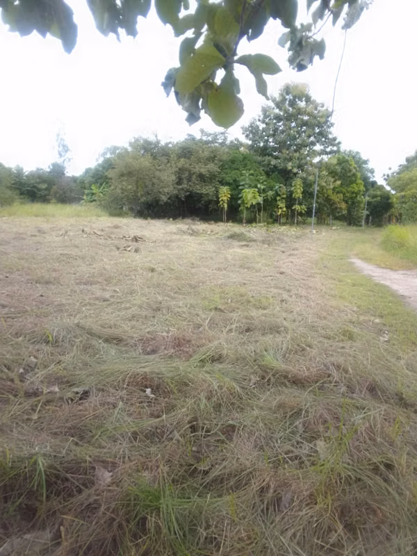 Land in Antón Coclé for sale