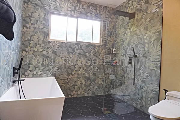 Sale of the house in Clayton AK