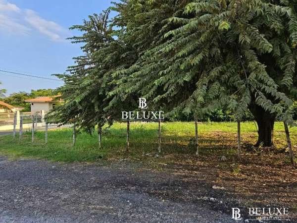 SALE OF LAND IN NEW GORGONA DAME (6)